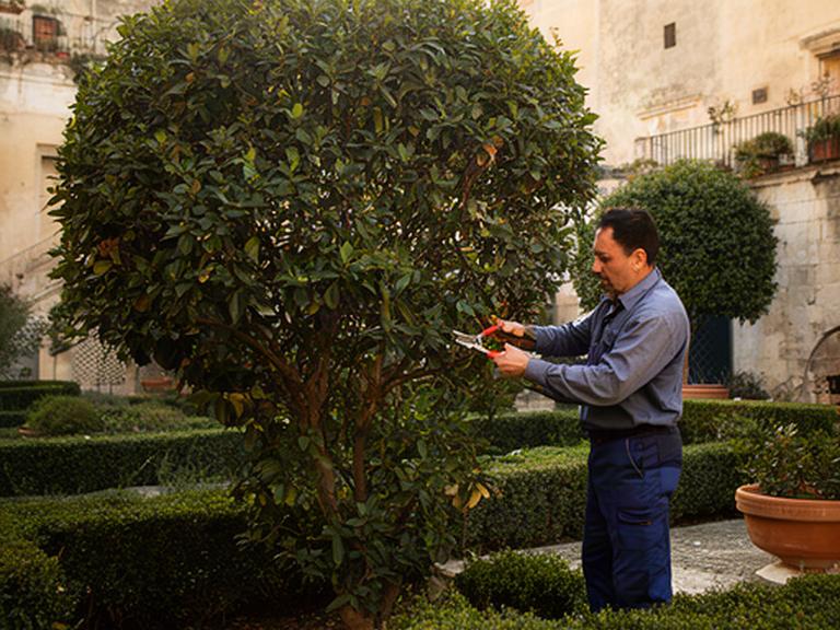 Operatore mentre pota un arbusto in un giardino residenziale di Ragusa