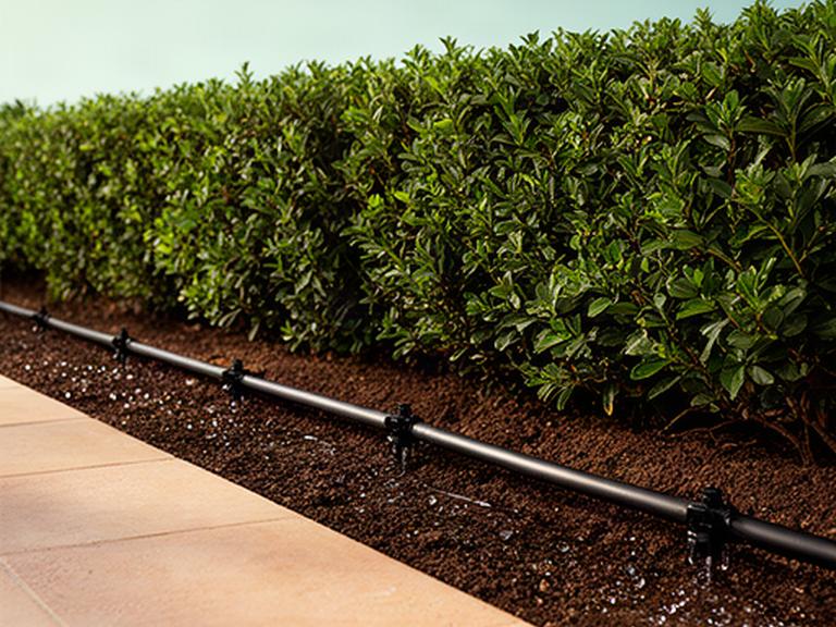 Impianto di irrigazione installato sotto una siepe in un giardino siciliano